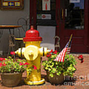 Savannah Fire Hydrant Art Print