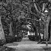 Savannah - Forsyth Park 007 Bw Art Print