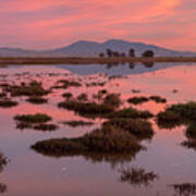 Scenery Of Suisun Marsh At Sunset Art Print