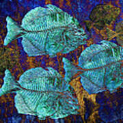 School Of Fossil Fish Art Print