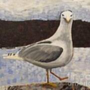Scottish Seagull Art Print