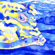 Scrawled Cowfish Portrait Art Print