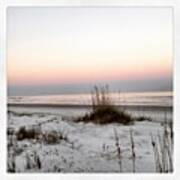 Sea Grass At Sunset #mutedcolors Art Print