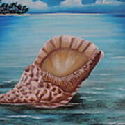 Sea Shell Art Print