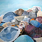 Sea Shells Art Print