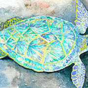 Sea Turtle Ii Art Print