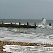 Seagull Groyne Art Print