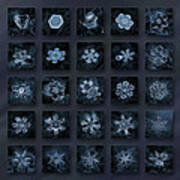 Snowflake Collage - Season 2013 Dark Crystals Art Print