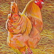 Sebastopol Rooster Art Print
