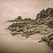 Cox Bay Sepia Art Print