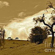 Sepia Of Two Horses Art Print