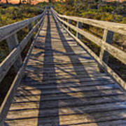 Shadows On The Boardwalk Art Print