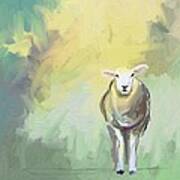 Sheep Dressed In Light Art Print
