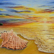 Shell At Sunset Art Print