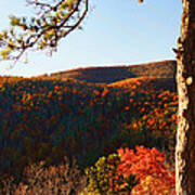 Shenandoah In The Fall Art Print