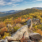 Shenandoah National Park Mary's Rock Art Print