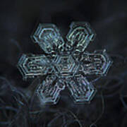 Snowflake Photo - Shine Art Print