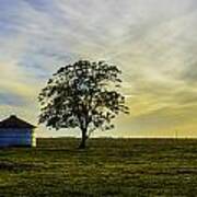 Silos At Sunset Art Print