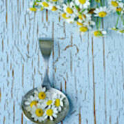 Silver Spoon With Chamomile Flowers Art Print