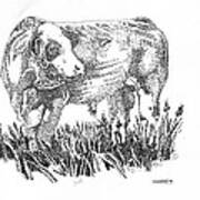 Simmental Bull Art Print