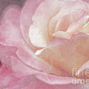 Simply Rose Art Print