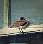 Sitting On The Dock Of The Bay Art Print