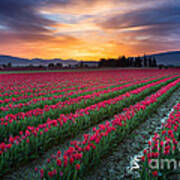 Skagit Valley Predawn Art Print