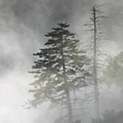 Smoky Mountain Mist Art Print