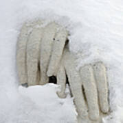Snow Covered Hands Of A Statue Art Print