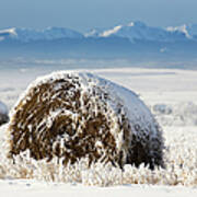 Snow Covered Hay Bale In A Snow Covered Art Print