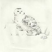 Snow Owl In Field Art Print