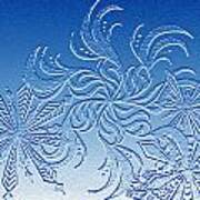 Snowflakes Art Print