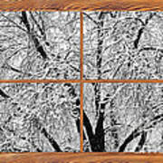 Snowy Tree Branches  Barn Wood Picture Window Frame View Art Print