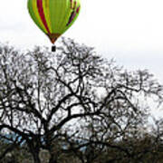 Sonoma Hot Air Balloon Over Mustard Field Art Print