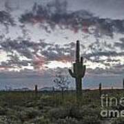 Sonoran Desert Sunrise Art Print