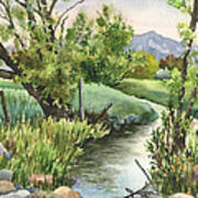 South Boulder Creek Art Print