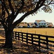 Southfork Ranch - Across The Pasture Art Print