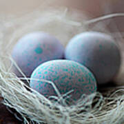 Speckled Eggs In Nest Art Print