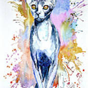 Sphinx Cat Art Print