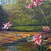 Spring Blooms On The Natchez Trace Art Print