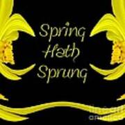 Spring Hath Sprung Daffodils Art Print