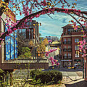 Spring In The Scenic City Art Print