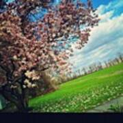 Spring Through The Car Window #amherst Art Print