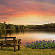 Springtime At The Lake Art Print