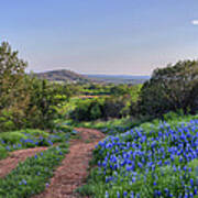 Springtime In The Hill Country Art Print