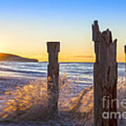 St Clair Beach Dunedin At Sunrise Art Print