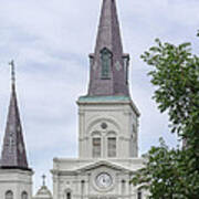 St. Louis Cathedral Through Trees Art Print