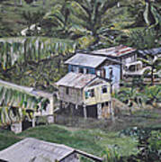 St Lucian Spot Art Print
