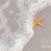 Starfish In The Surf Art Print