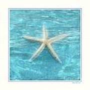 Starfish Underwater Art Print
